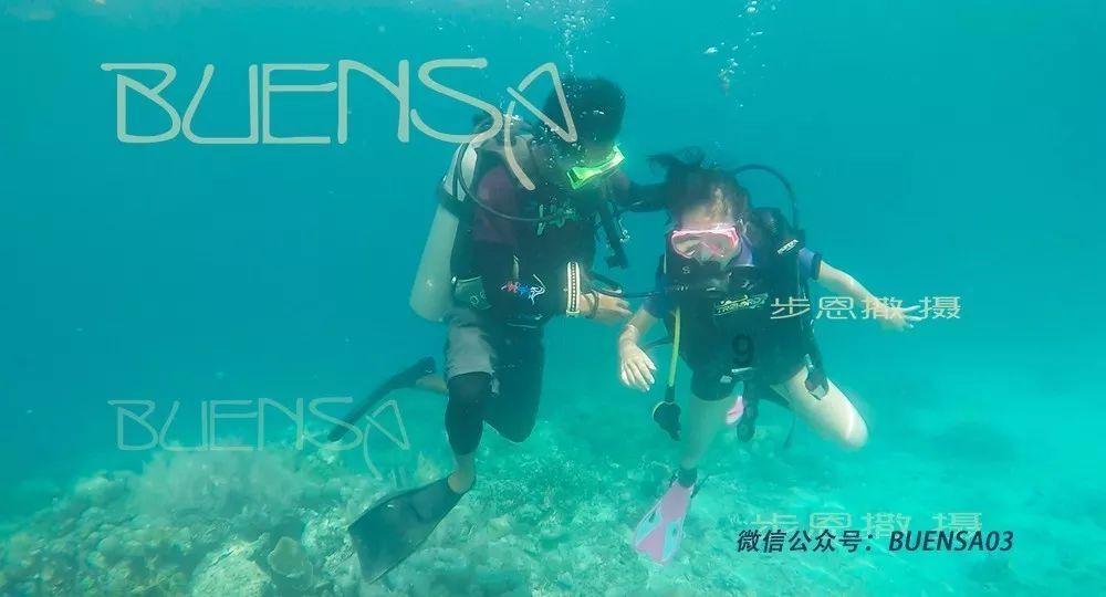 小猫钓鱼游戏龙王版有船